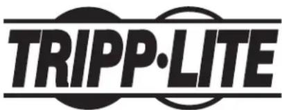 Tripp Lite CS16AC - L'information de conformité WEEE pour les clients de Tripp Lite et recycleurs (Union européenne) - 2