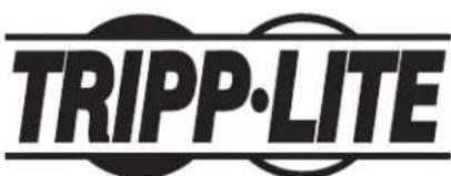 Tripp Lite CS16USBW - L'information de conformité WEEE pour les clients de Tripp Lite et recycleurs (Union européenne) - 2