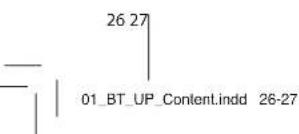 BLAUPUNKT BT UP - Gwarancja - 3
