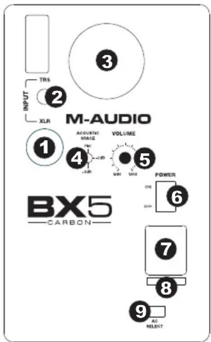 M-AUDIO BX5 Carbon - Pannello posteriore - 1