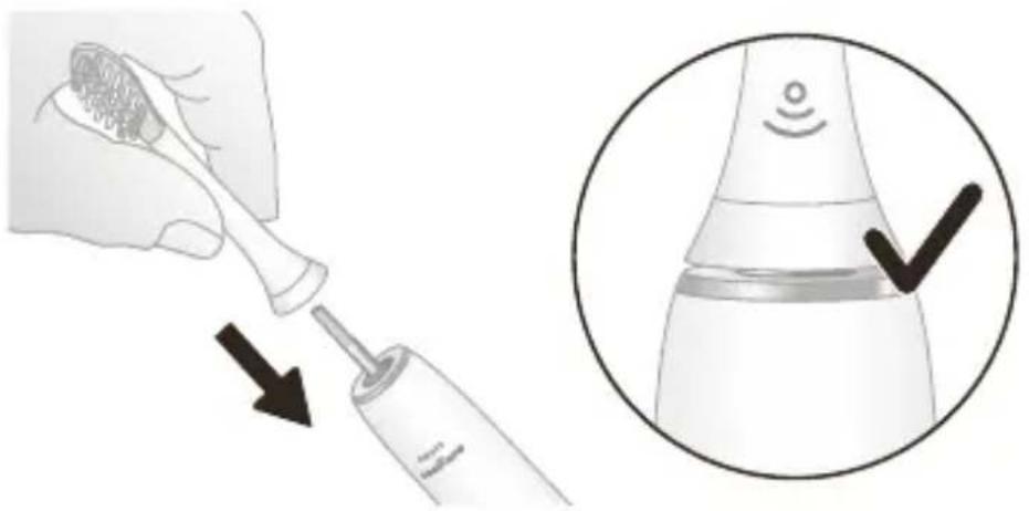 PHILIPS Sonicare DiamondClean 9000 HX9912 - Brushing instructions - 1