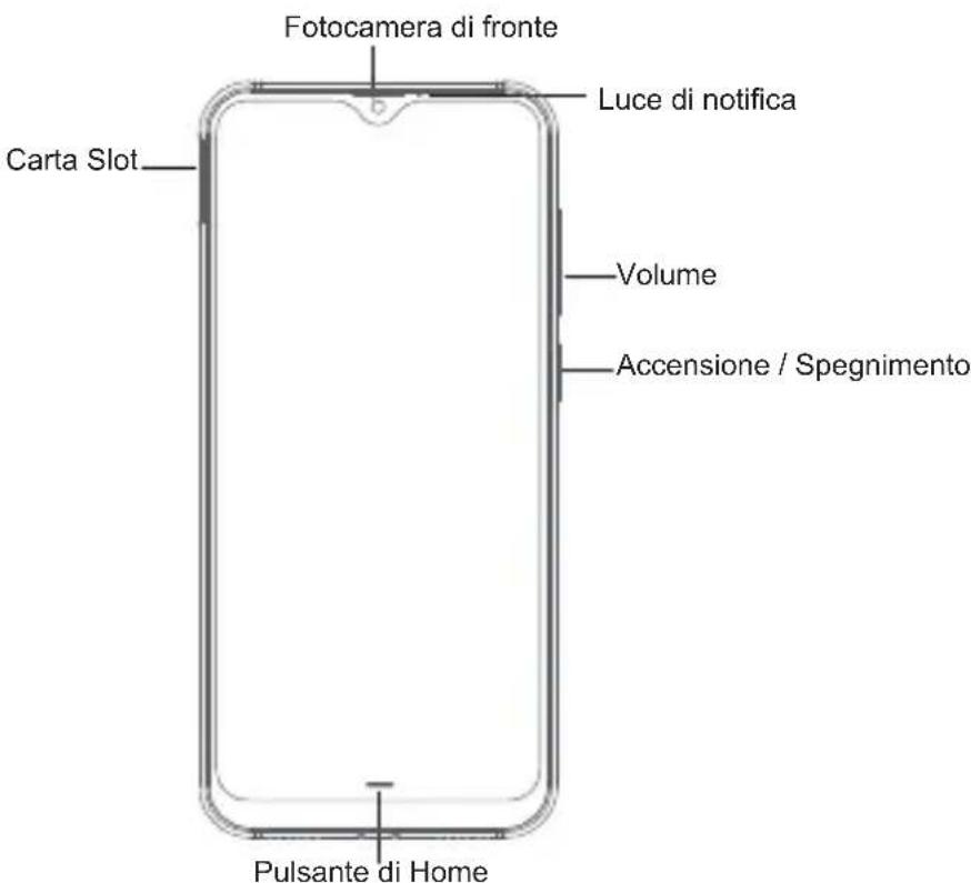 Cubot X20 - Disposizione del dispositivo - 1