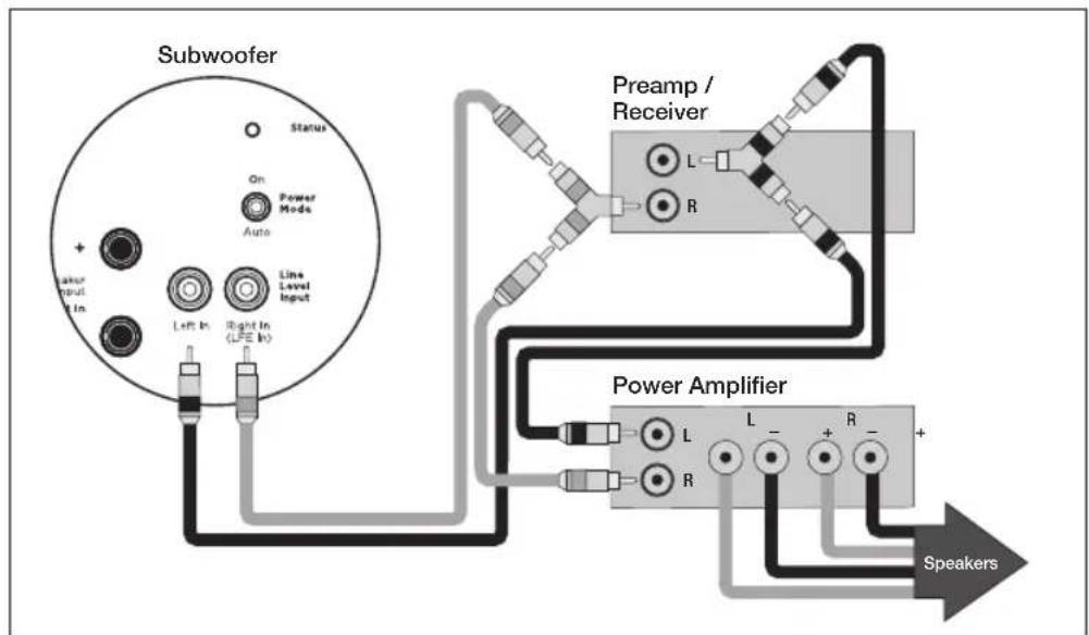 Paradigm Defiance V8 - Line Level Inputs (Left/Right) - 1