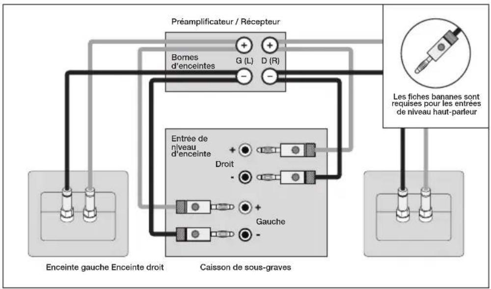 Paradigm Defiance V12 - RACCORDEMENT DU CAISSON DE SOUS-GRAVES (suite) - 1