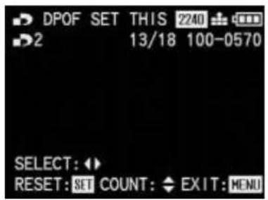 LEICA Digilux 1 - Print order settings for one picture - 2