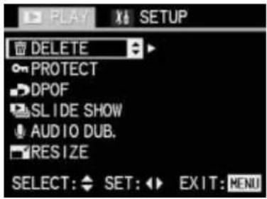 LEICA Digilux 1 - Deleting pictures - 1