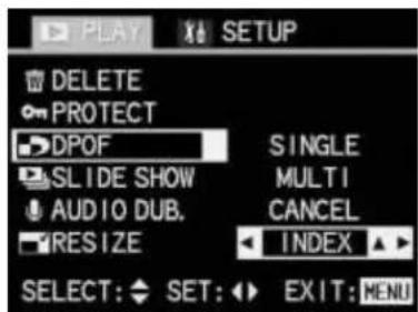LEICA Digilux 1 - Print order settings for an index print - 1