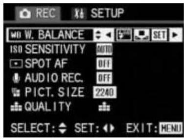 LEICA Digilux 1 - Setting the white balance - 1
