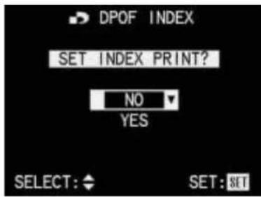 LEICA Digilux 1 - Print order settings for an index print - 2