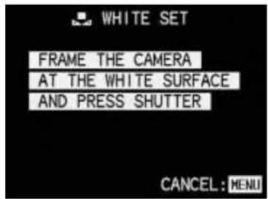 LEICA Digilux 1 - Setting the white balance manually - 1
