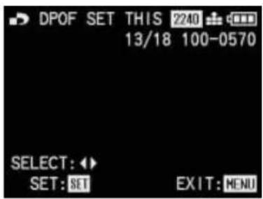 LEICA Digilux 1 - Print order settings for one picture - 1