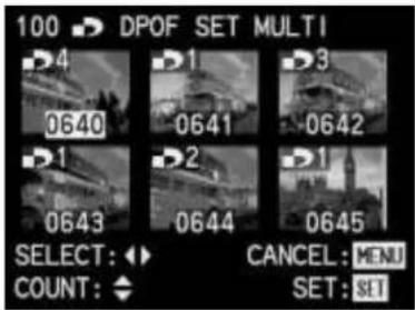 LEICA Digilux 1 - Print order settings for several pictures - 2