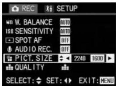 LEICA Digilux 1 - Setting the resolution - 1