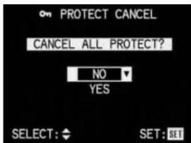 LEICA Digilux 1 - Deleting all protection settings - 1