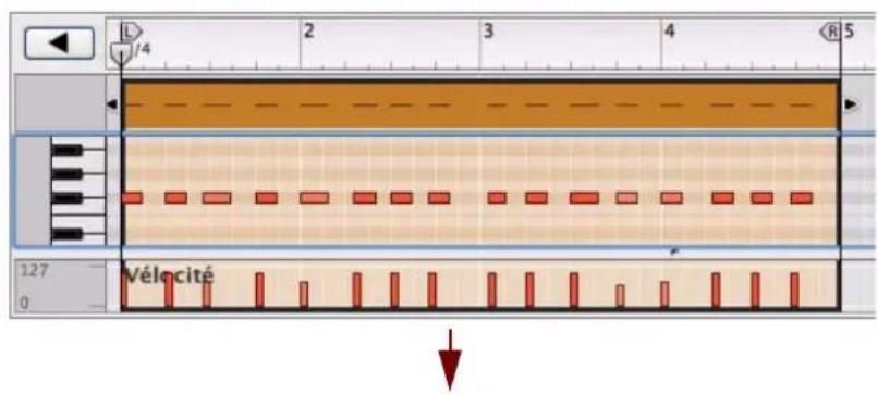 PROPELLERHEAD Reason 6.0 - Cliquez sur le bouton « Appliquer » de la quantification. - 1
