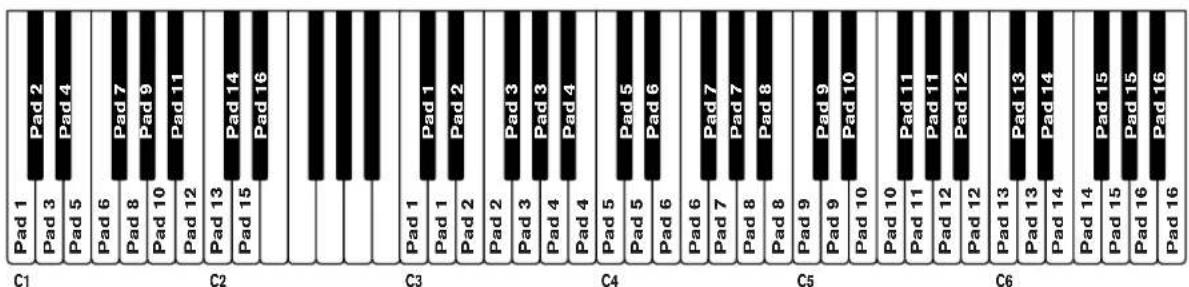 PROPELLERHEAD Reason 6.0 - Vérifier lessons dans un patch de kit - 3