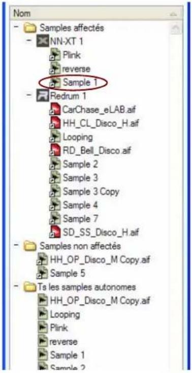 PROPELLERHEAD Reason 6.0 - Chargement de samples dans un module - 6
