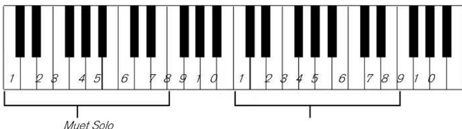 PROPELLERHEAD Reason 6.0 - Mute & Solo - 2