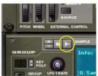 PROPELLERHEAD Reason 6.0 - Les différences boutons Sample - 1