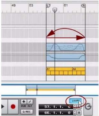 PROPELLERHEAD Reason 6.0 - Mode boucle - 1