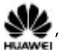 HUAWEI M570 - Marques déposées et autorisations - 1