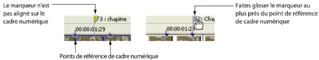 SONY Vegas DVD Architect - Remarques : - 1