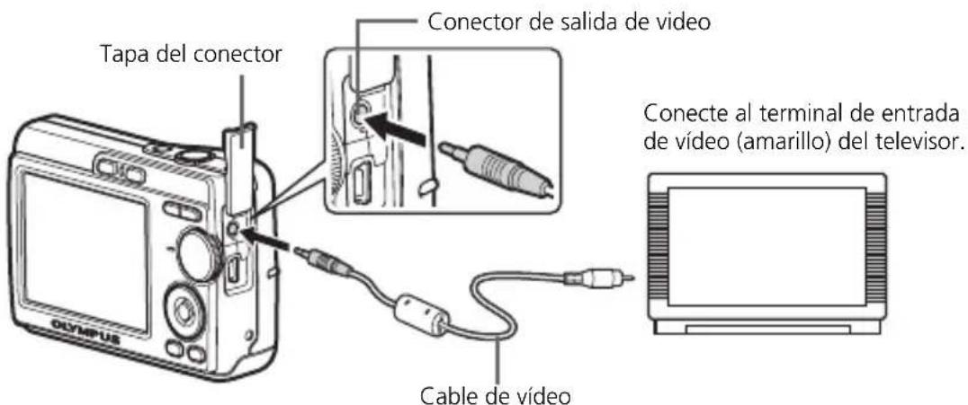 OLYMPUS X760 - Reproducción en un televisor - 1