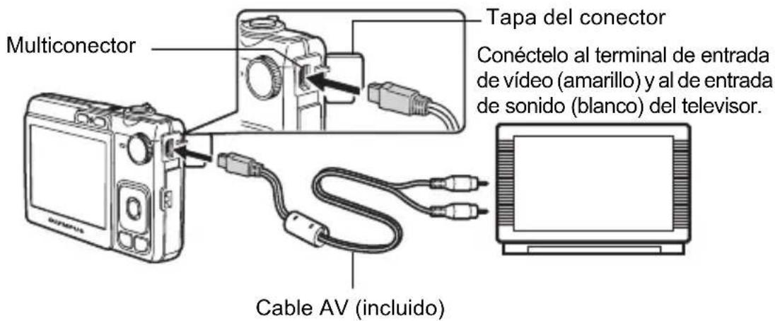 OLYMPUS X790 - Reproducción en un televisor - 1