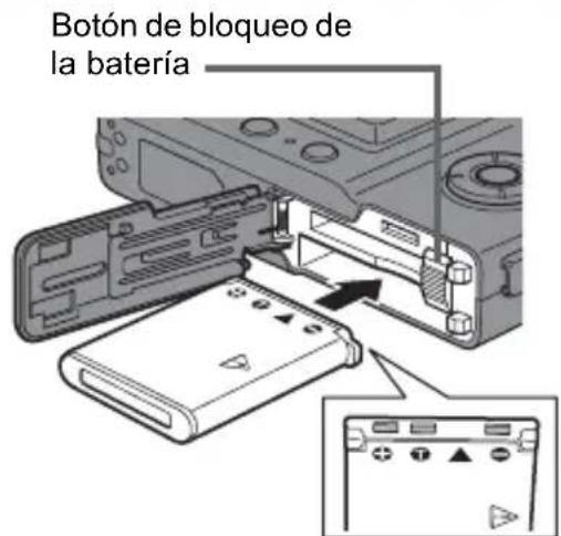 OLYMPUS Camedia X600 - Inserte la bateria. - 1