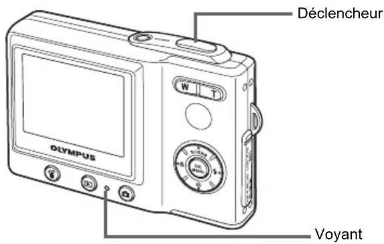OLYMPUS Camedia X600 - Cadrez votre photo. - 1