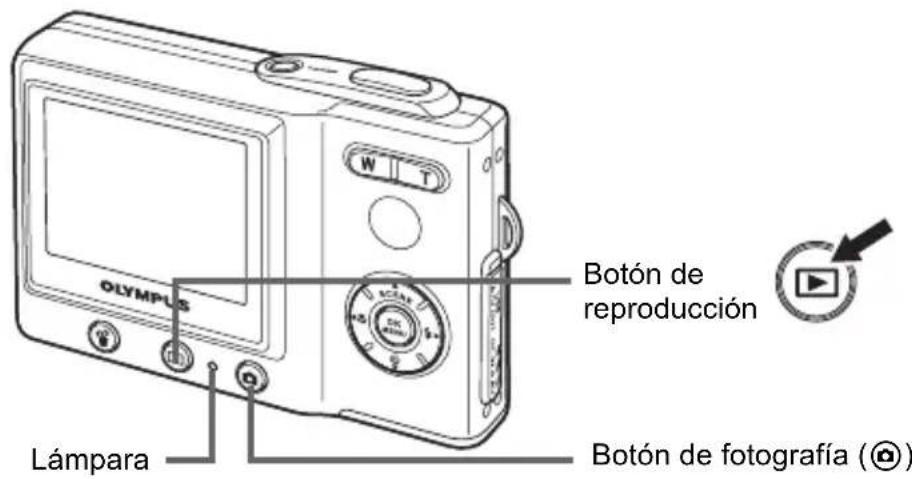 OLYMPUS Camedia X600 - Presione . - 1