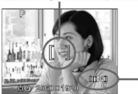 OLYMPUS Camedia X600 - Componga la fotografia. - 2