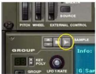 PROPELLERHEAD Reason Essentials 1.0 - Les différents boutons Sample - 1