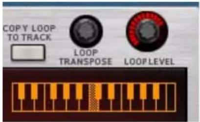 PROPELLERHEAD Reason Essentials 1.0 - Réglage par demi-ton de la boucle - 1