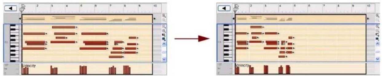 PROPELLERHEAD Reason Essentials 1.0 - Échelle du tempo - 2