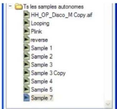 PROPELLERHEAD Reason Essentials 1.0 - À propos des samples autonomes - 1