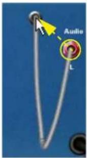 PROPELLERHEAD Reason Essentials 1.0 - Connexion de câbles - 1