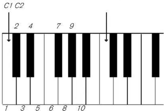 PROPELLERHEAD Reason Essentials 1.0 - Utiliser Redrum comme module sonore - 1