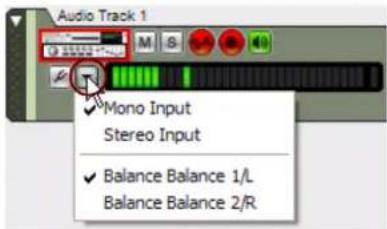 PROPELLERHEAD Reason Essentials 1.0 - - Liste déroulante de sélection des entrées audio - 1