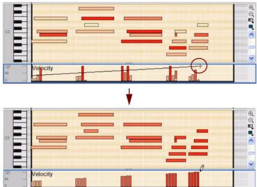 PROPELLERHEAD Reason Essentials 1.5 - Édition manuelle de la velocité des notes - 2