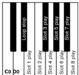 PROPELLERHEAD Reason Essentials 1.5 - Déclenchement de la lecture et sélection des emplacements de boucles depuis un clavier MIDI - 1