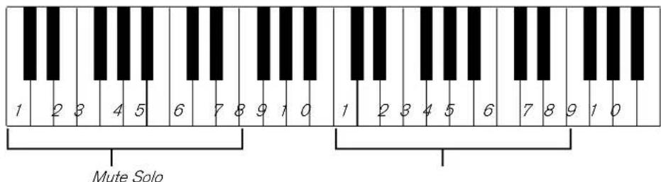 PROPELLERHEAD Reason Essentials 1.5 - Mute & Solo - 2