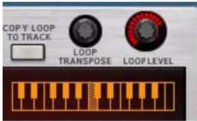 PROPELLERHEAD Reason Essentials 1.5 - Réglage par demi-ton de la boucle - 1