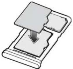 ZEBRA EC50 - Installation ou remplacement d'une carte microSD - 4