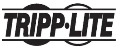 Tripp Lite CSC32AC - Información de sobre Cumplimiento de la WEEE para Clientes de Tripp Lite y Recicladores (Unión Europea) - 1