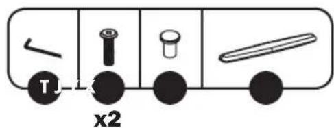 T x2