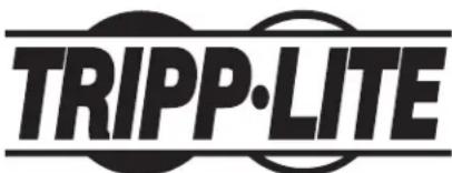 Tripp Lite CSC21AC - Información de Cumplimiento con WEEE para los Clientes y Recicladores de Tripp Lite (Unión Europea) - 2
