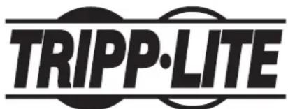 Tripp Lite CSC21AC - Rensignements sur la conformité à la directive DEEE pour les clients de Tripp Lite et les recycleurs (Union européen) - 2