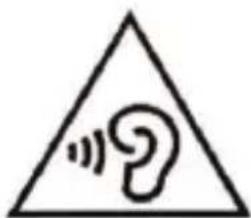 Konrow KFlip - Electromagnetic waves safety information (SAR) - 1