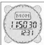 BUSHNELL Digital Compass 700001 - EINSTELLDERZEIT - 1